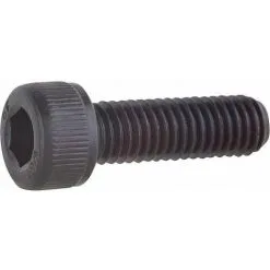 Vis Cylindrique REMS Pour Tigel ANC 081116